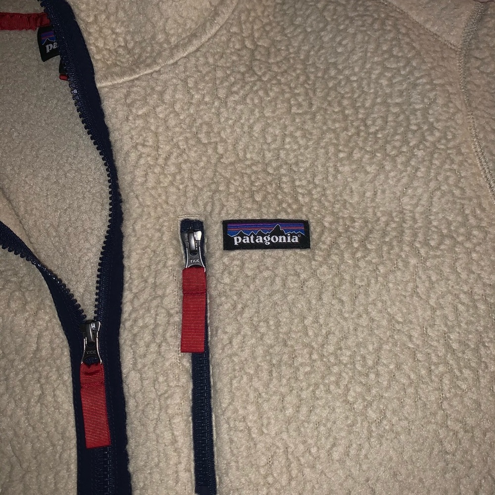 Patagonia Retro Pile Pullover